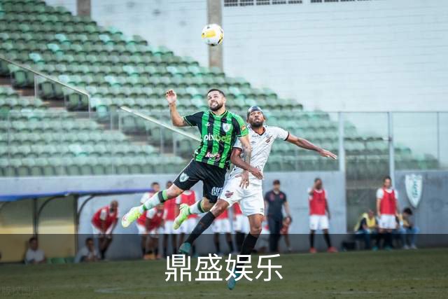 鼎盛娱乐公司介绍图